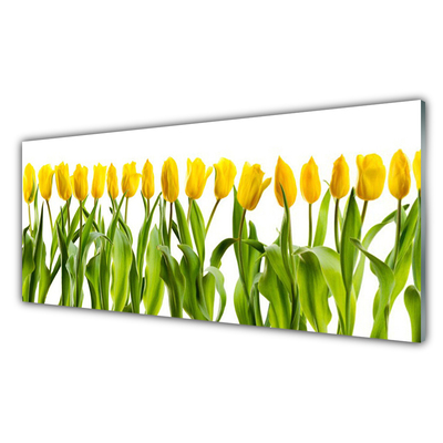 Billede på glas Tulipaner Blomster Natur