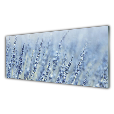 Glas billede Blomster Spikes Eng Natur