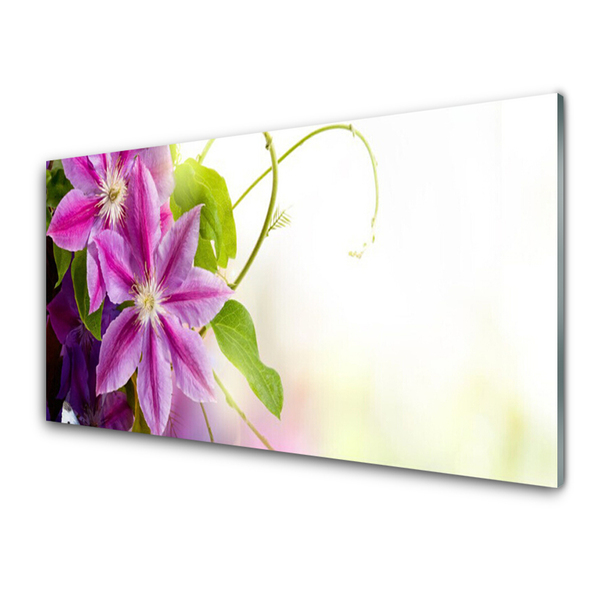 Glasbillede Blomster Natur Natur