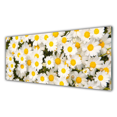 Glasfoto Daisy Flowers