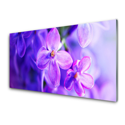 Billede i glas Blomster Violet Natur