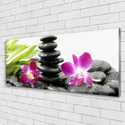 Billede glas Zen Spa Orchid Stones