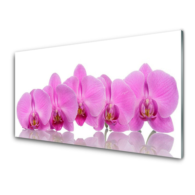 Billede på glas Pink Orchid Flowers