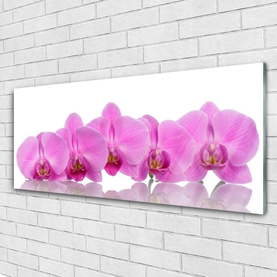 Billede på glas Pink Orchid Flowers