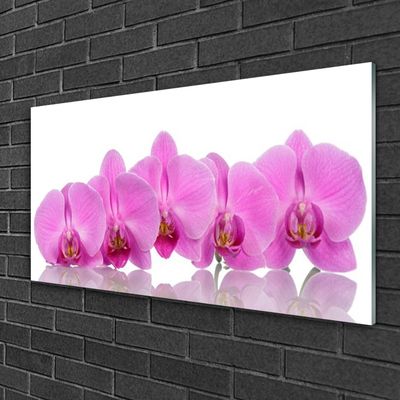 Billede på glas Pink Orchid Flowers