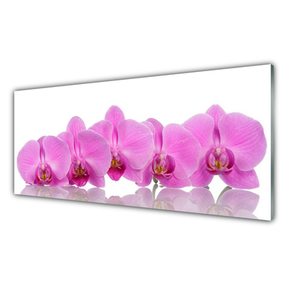 Billede på glas Pink Orchid Flowers