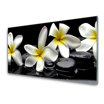 Glas billede Smuk blomst Plumeria