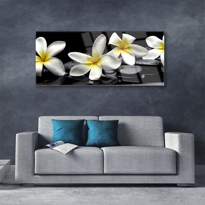 Glas billede Smuk blomst Plumeria