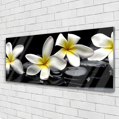 Glas billede Smuk blomst Plumeria