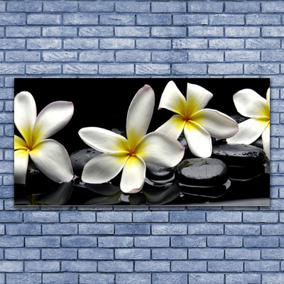 Glas billede Smuk blomst Plumeria