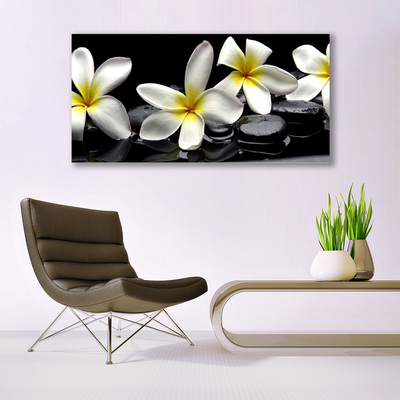 Glas billede Smuk blomst Plumeria