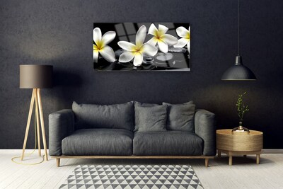 Glas billede Smuk blomst Plumeria