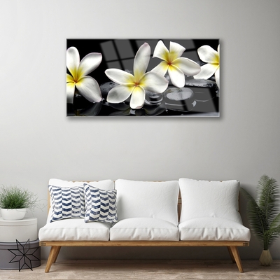 Glas billede Smuk blomst Plumeria