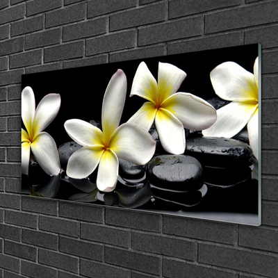 Glas billede Smuk blomst Plumeria