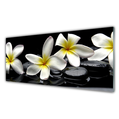 Glas billede Smuk blomst Plumeria