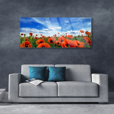 Glasbillede Meadow Poppies Flowers