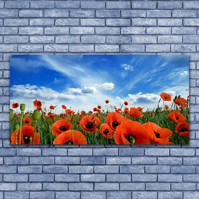 Glasbillede Meadow Poppies Flowers