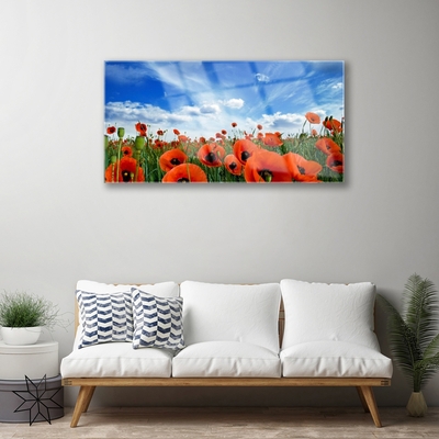 Glasbillede Meadow Poppies Flowers