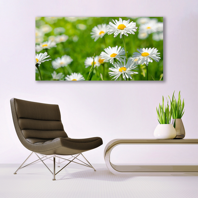 Glas billede Daisy Flower Plant