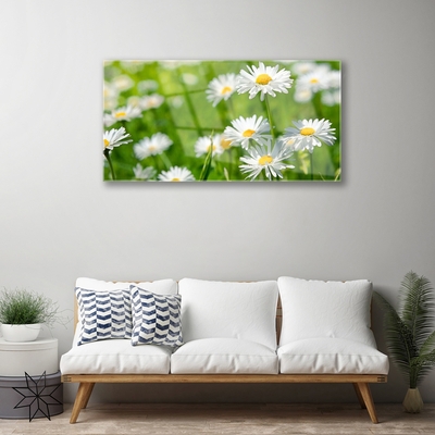 Glas billede Daisy Flower Plant