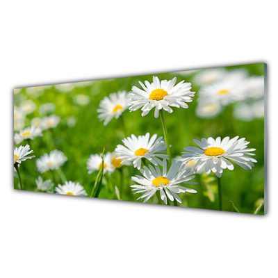 Glas billede Daisy Flower Plant