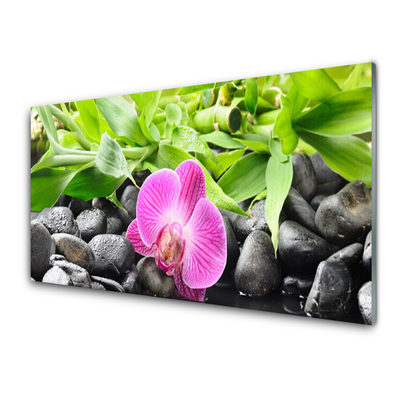 Billede i glas Flowers Orchid Plant