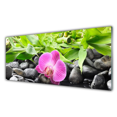 Billede i glas Flowers Orchid Plant