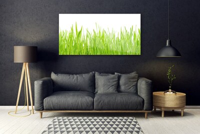 Billede glas Grass Nature Plant