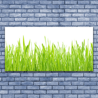 Billede glas Grass Nature Plant