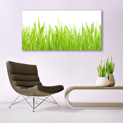 Billede glas Grass Nature Plant