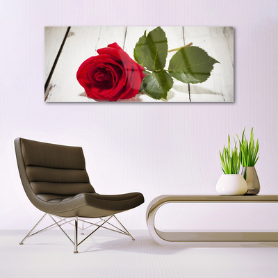 Billede glas Rose Flower Plant Nature