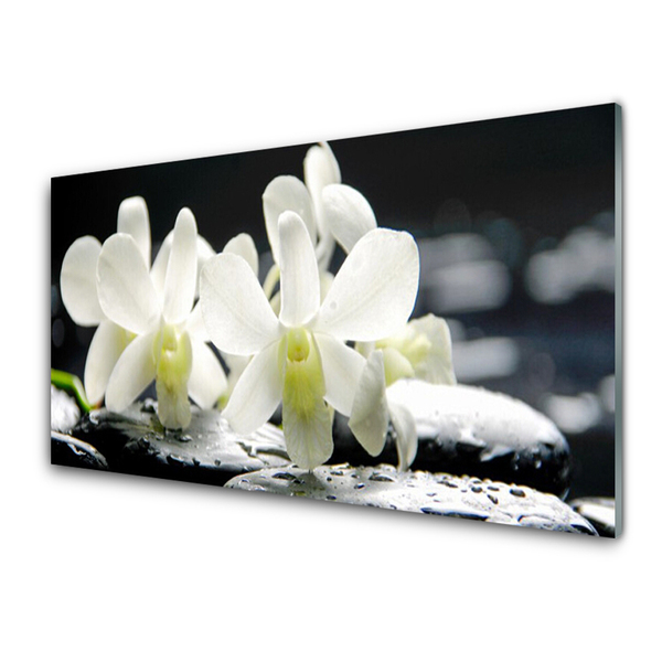 Glas billede Stones Flowers Orchid