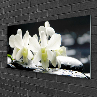 Glas billede Stones Flowers Orchid