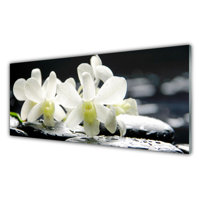 Glas billede Stones Flowers Orchid