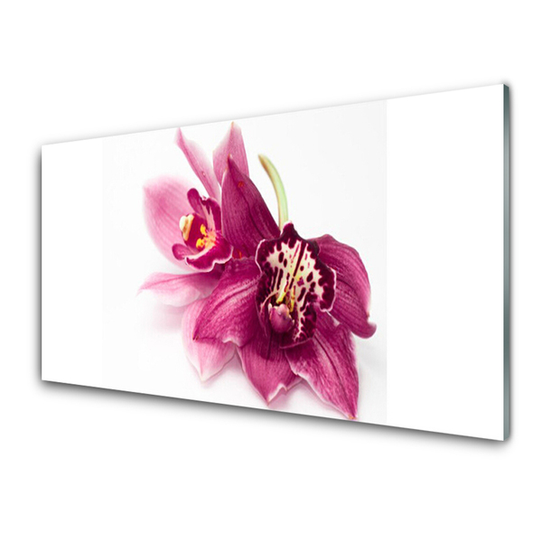 Glasbillede Blomster Planter Natur