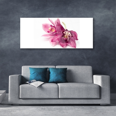 Glasbillede Blomster Planter Natur