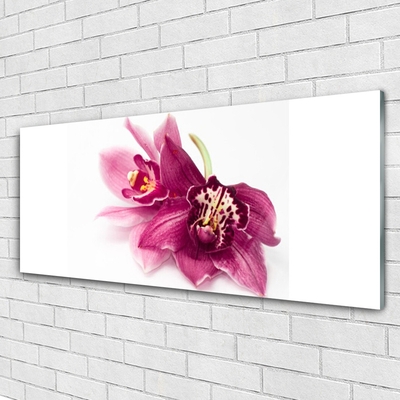 Glasbillede Blomster Planter Natur