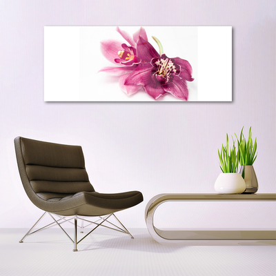 Glasbillede Blomster Planter Natur
