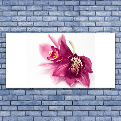 Glasbillede Blomster Planter Natur