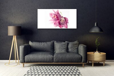 Glasbillede Blomster Planter Natur