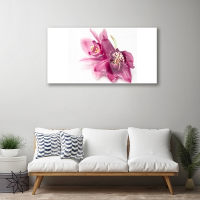 Glasbillede Blomster Planter Natur