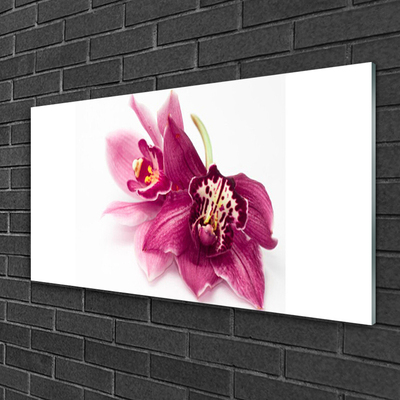 Glasbillede Blomster Planter Natur