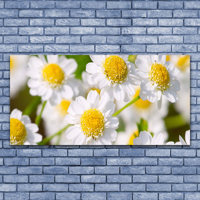 Billede glas Blomster Daisy Natur