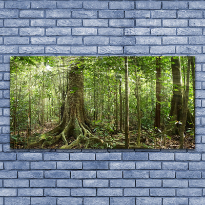 Billede i glas Skov Natur Jungle Træer