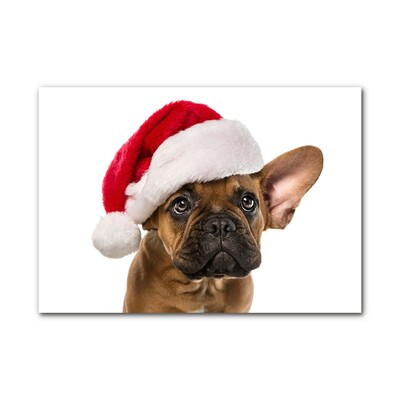 Glas billede Bulldog hund jul