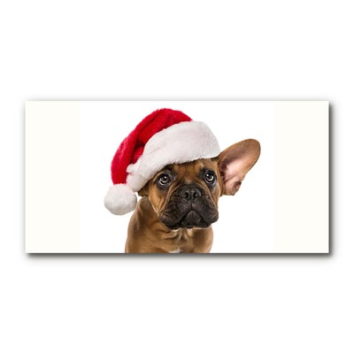 Glas billede Bulldog hund jul