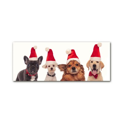 Glas billede Christmas Dogs Father Christmas