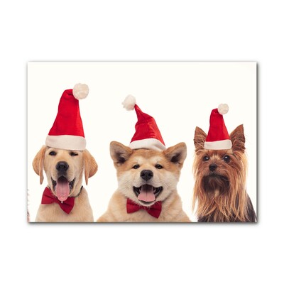 Glas billede Christmas Dogs Father Christmas