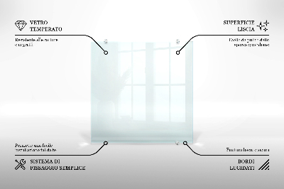 Glas stænkplade transparent
