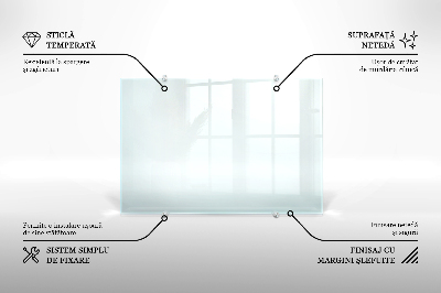 Glas stænkplade transparent